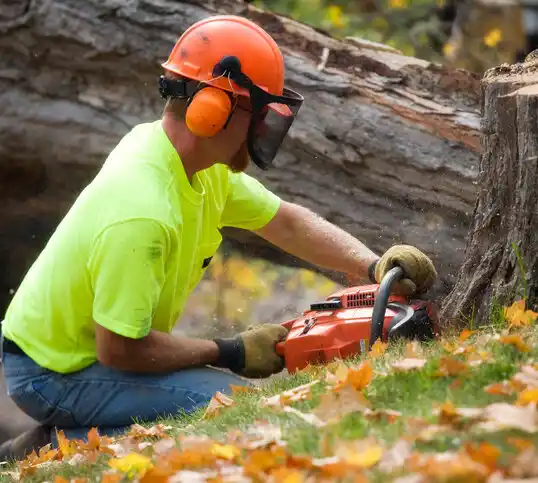 tree services Dawson Springs